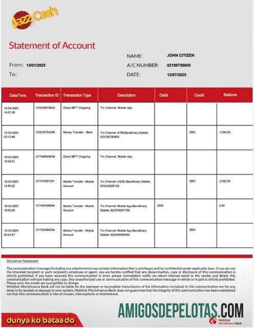 em branco Paquistão Mobilink Microfinance Extrato bancário modelo Word e PDF, versão 2